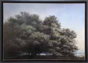 Jean-Pierre UGARTE - Paysage - 55 x 38 cm